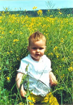 Blumenwiese...